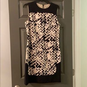 Longchamp Shift Dress